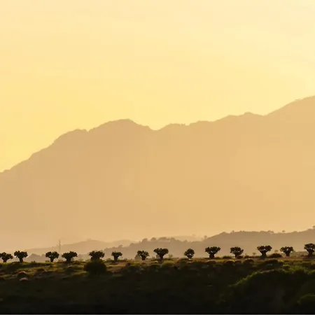 Modern Luxurious 3-bedroom With Amenities